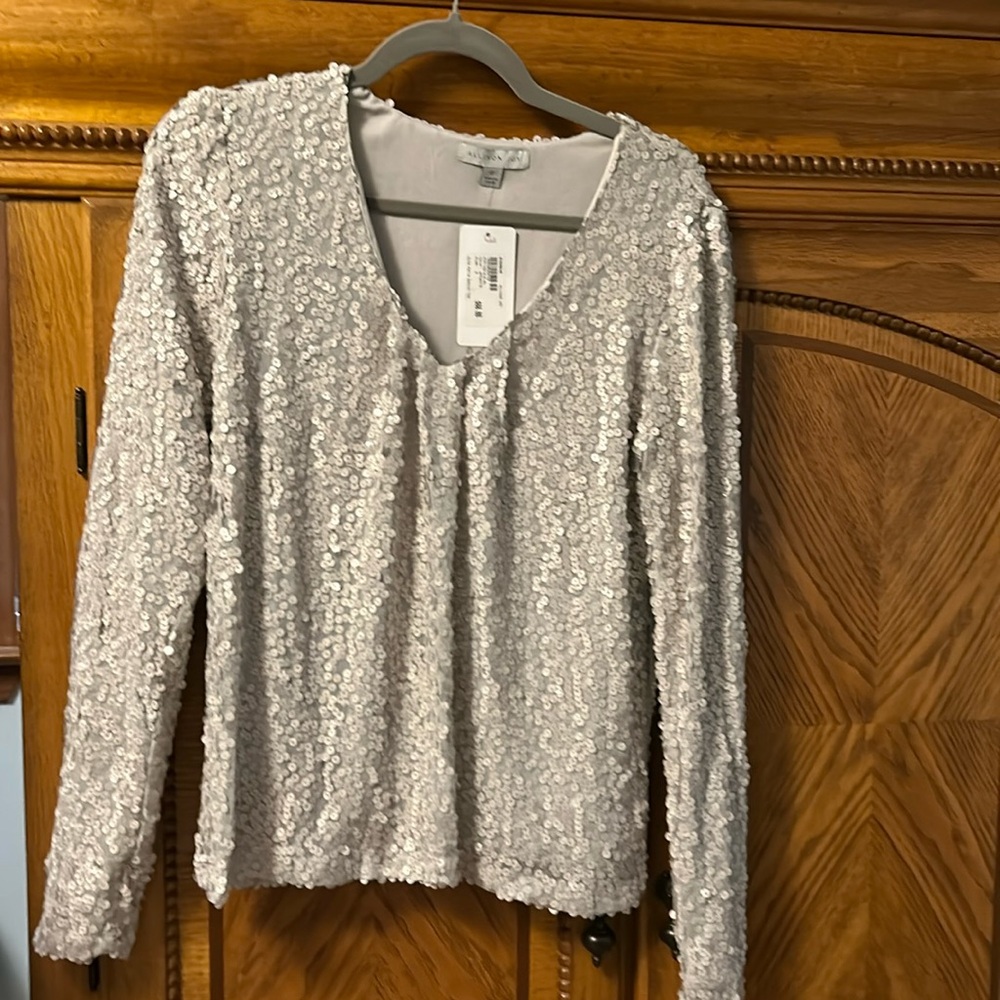COPY - Allison Joy silver sequin long sleeve top. Size Small. NWT.  From Evere…